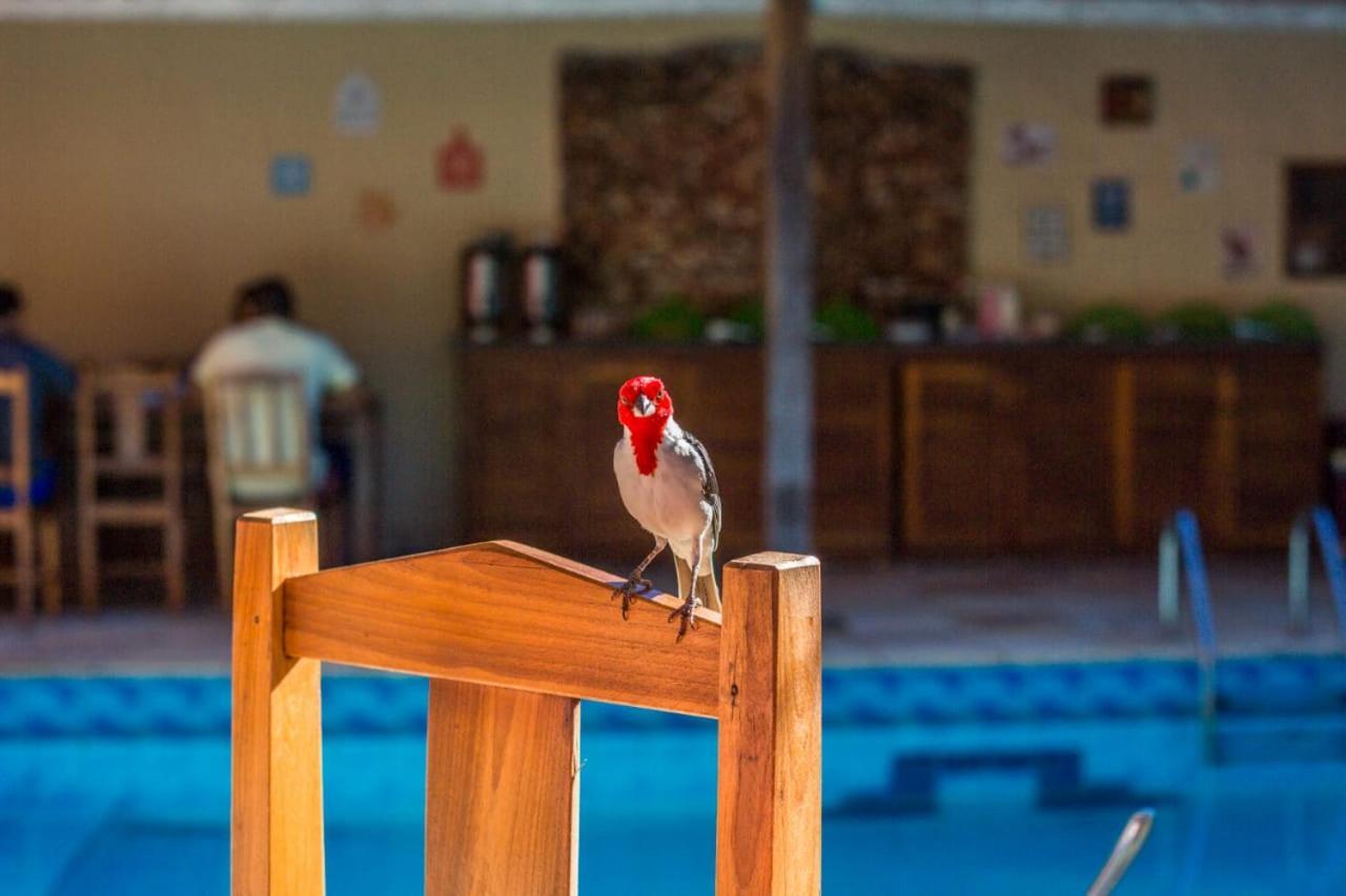 Viva Jeri Pousada Jijoca de Jericoacoara Dış mekan fotoğraf